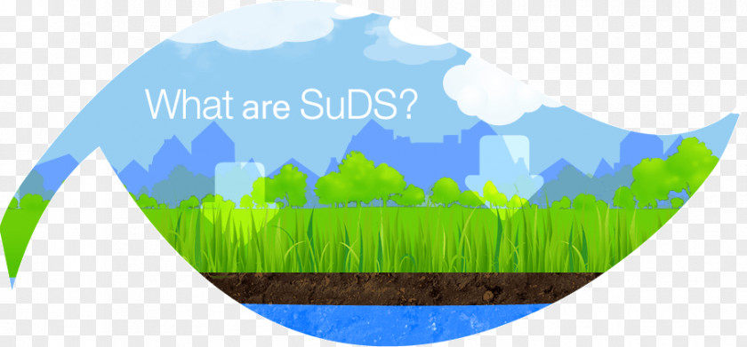 Suds Sustainable Drainage System Desktop Wallpaper /m/02j71 PNG