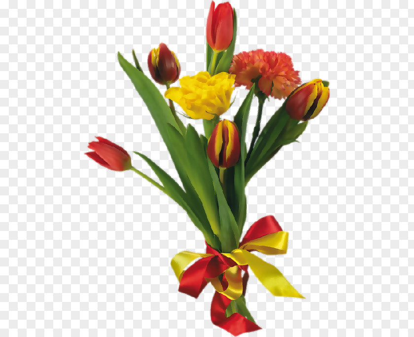 Tulip Carnation Flower Bouquet Clip Art PNG
