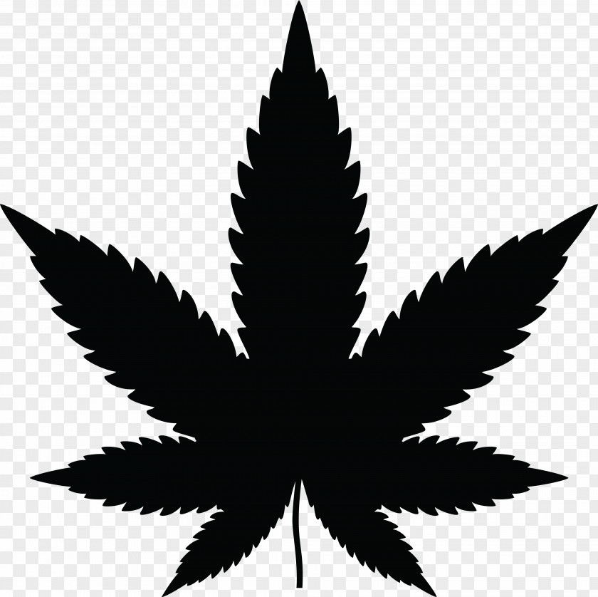 Cannabis Medical Leaf Clip Art PNG