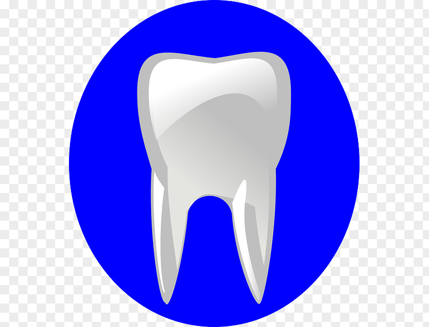 Dentistry Human Tooth Decay PNG