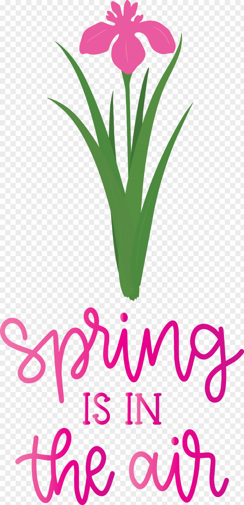 Spring Is In The Air PNG