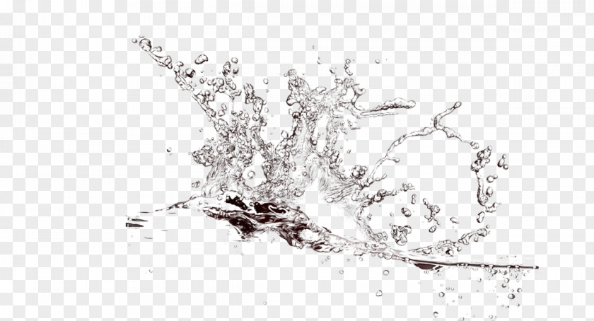 Water Drop Splash PNG