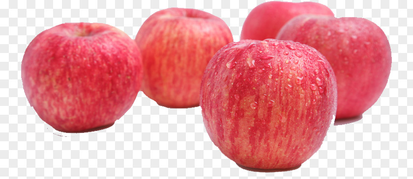 Apple Fruit Auglis PNG