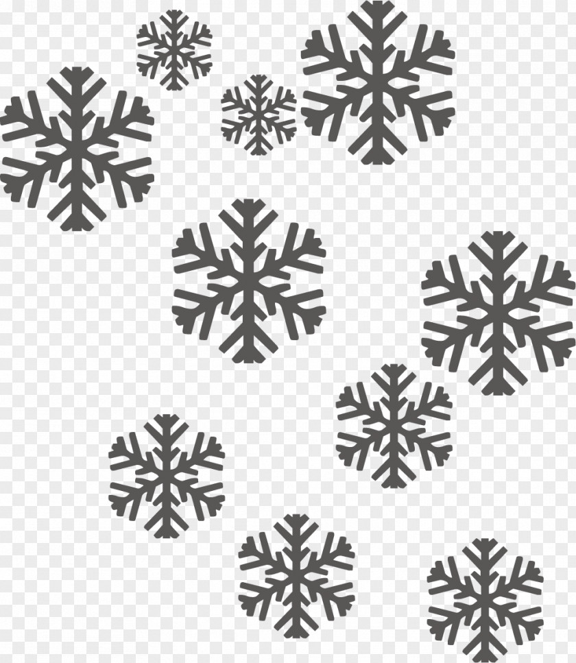 Creative Snowflake Background Christmas Icon PNG