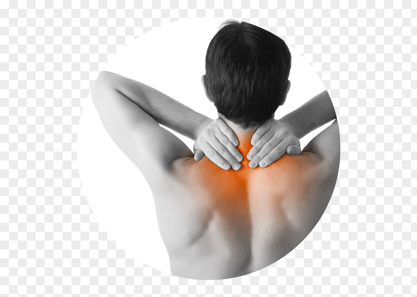 Health Massage Manual Therapy Sports Injury PNG