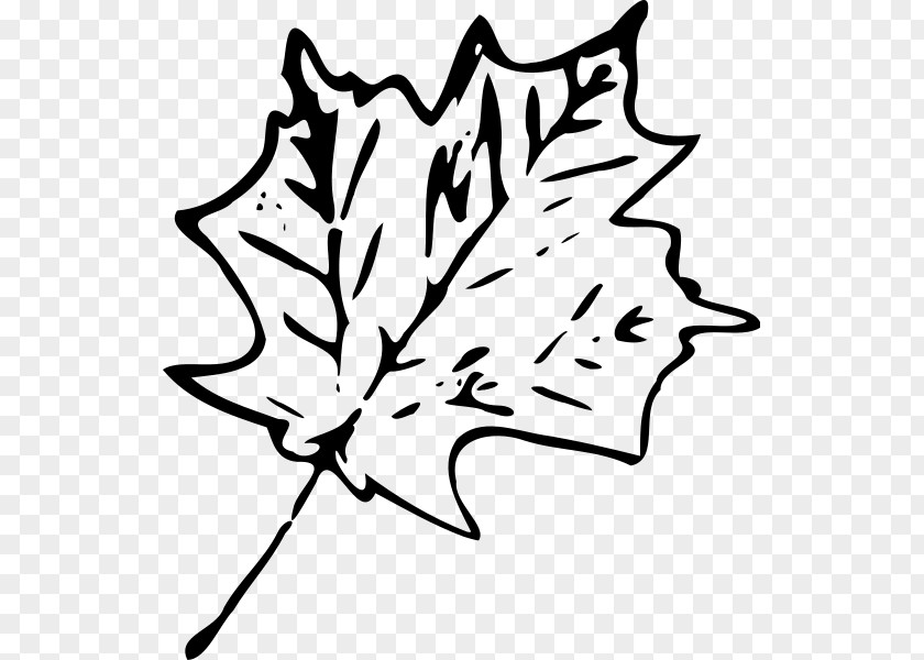 Maple Leaf Clipart Autumn Color Clip Art PNG