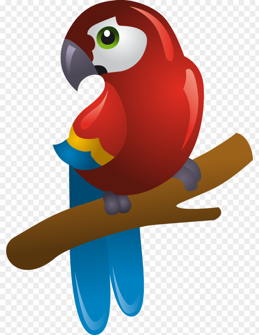 Pirate Parrot Clip Art PNG