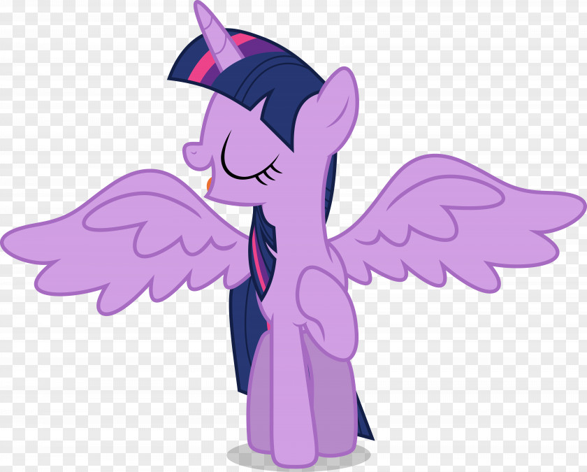 Twilight Sparkle Rarity Pinkie Pie My Little Pony PNG