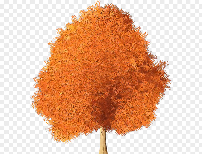 Autumn Plane Orange PNG