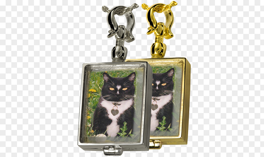 Cat Locket Victorian Era Jewellery Silver PNG