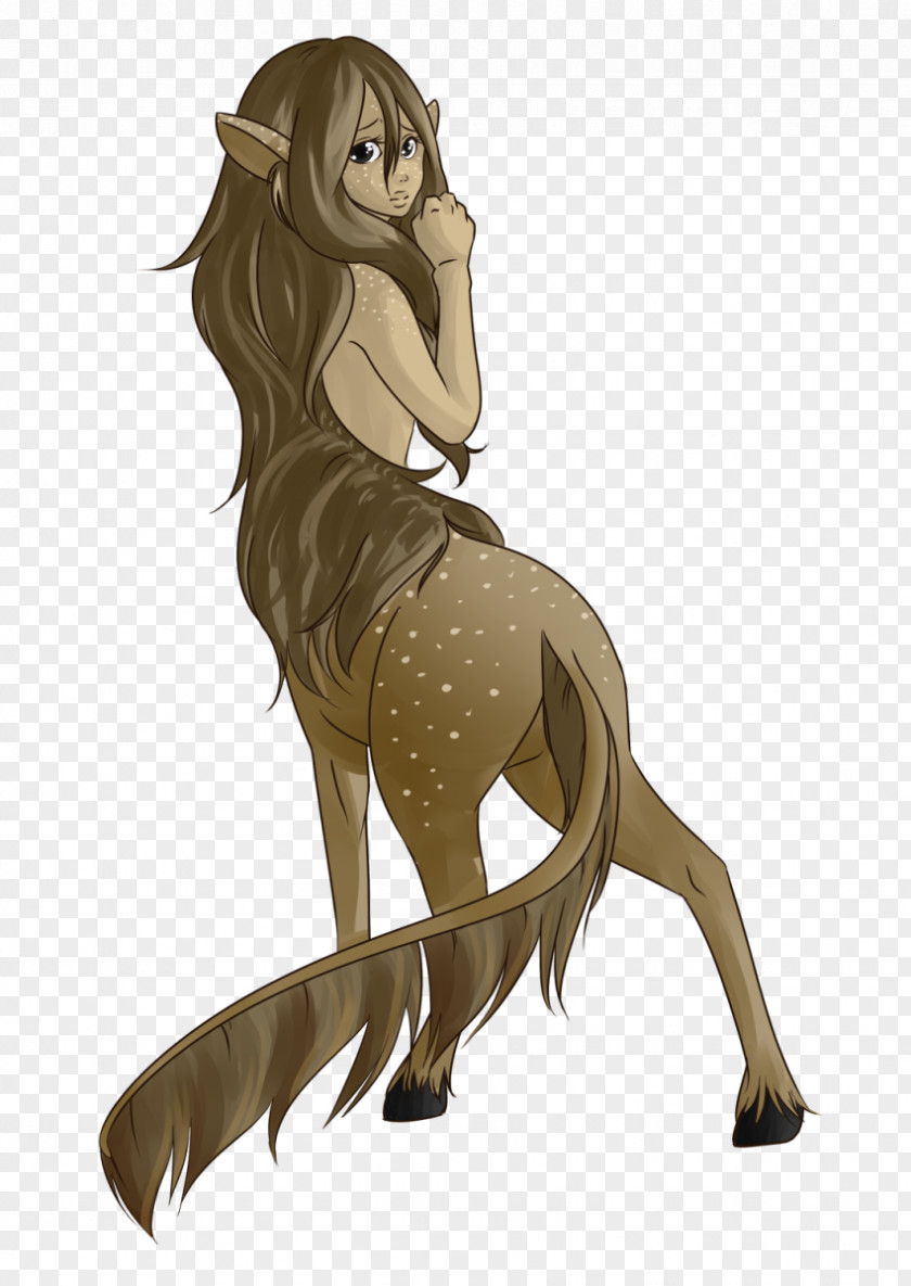Centaur Cat Mustang Mammal Macropodidae Pony PNG