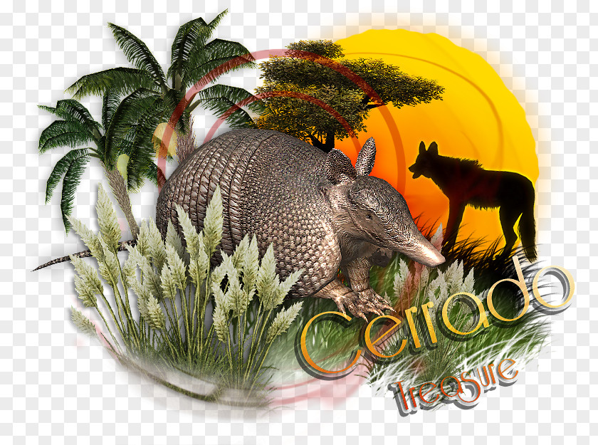 Cortaderia Selloana Armadillo Zoo Tycoon 2 Wildlife Cerrado Asiatic Peafowl PNG