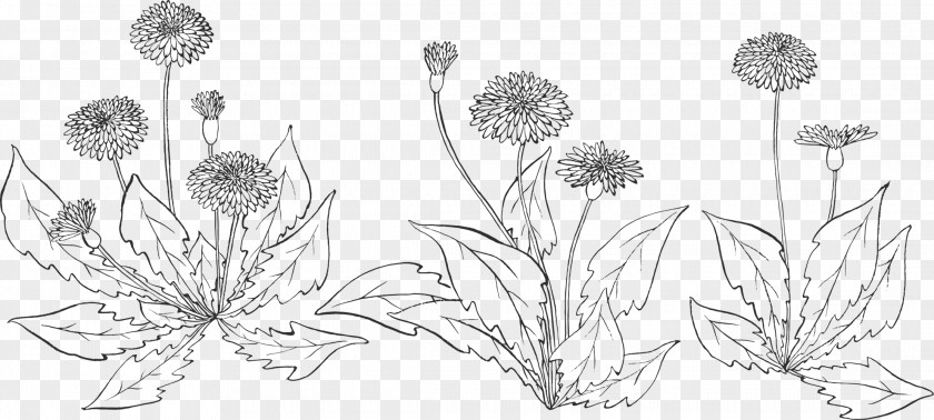 Diente De Leon Dibujo Floral Design Cut Flowers Plant Stem PNG