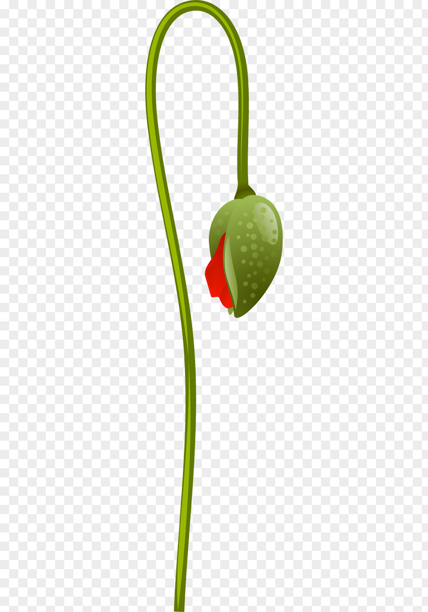 Flower Plant Stem Clip Art PNG