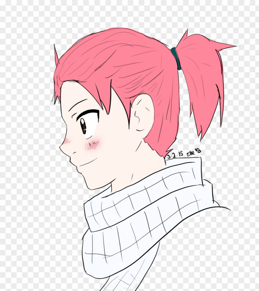 Hair Human Color Natsu Dragneel Hairstyle Forehead PNG