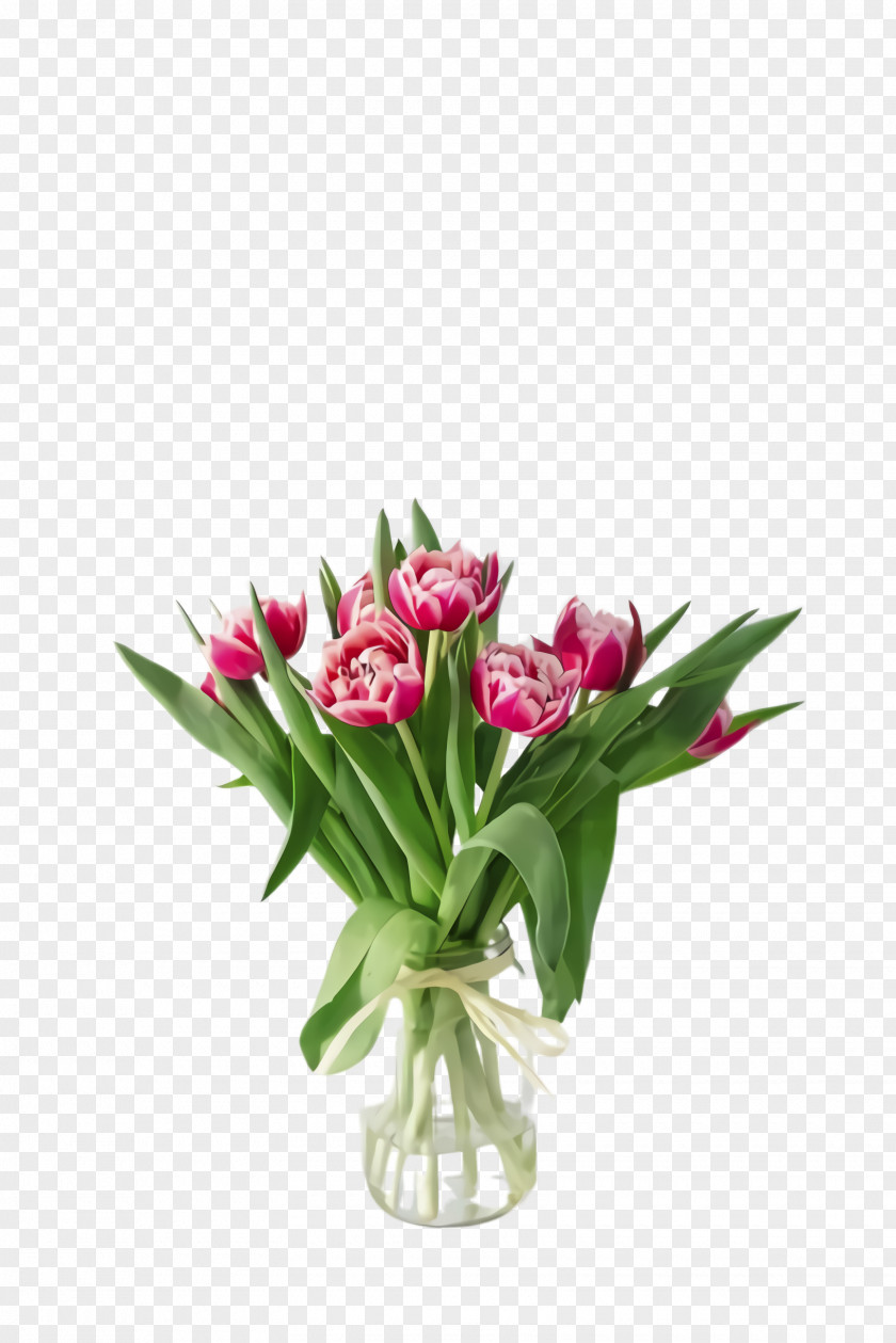 Lily Family Vase Flower Cartoon PNG