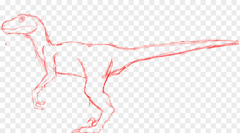 Raptor Publishing Velociraptor Drawing /m/02csf Illustration Finger PNG