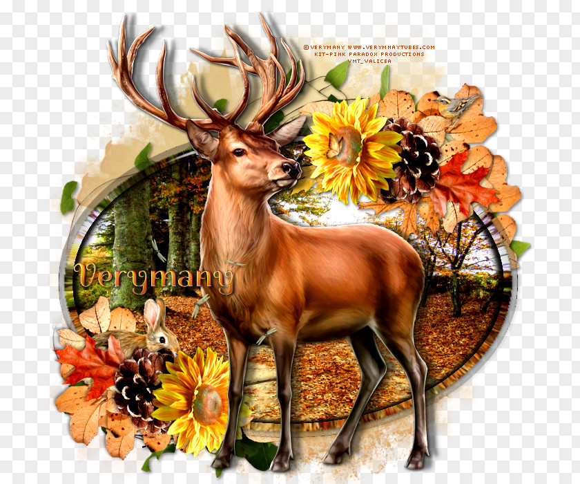 Reindeer Fauna Wildlife Flower PNG