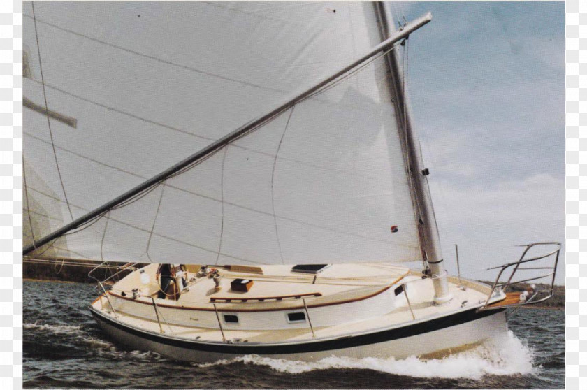 Sail Sailboat Nonsuch Yacht Sloop PNG