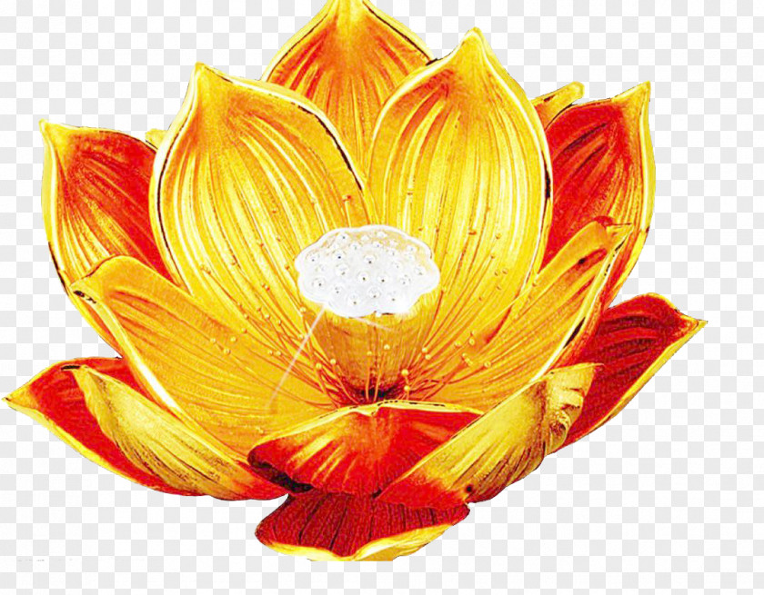 Simulation Gold Lotus In Kind Promotion Vairocana Nelumbo Nucifera Dharmaku0101ya Falun Gong PNG
