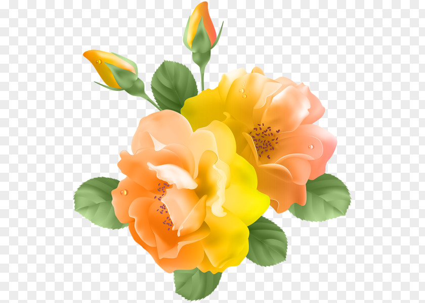 Yellow Rose Lavender Clip Art PNG