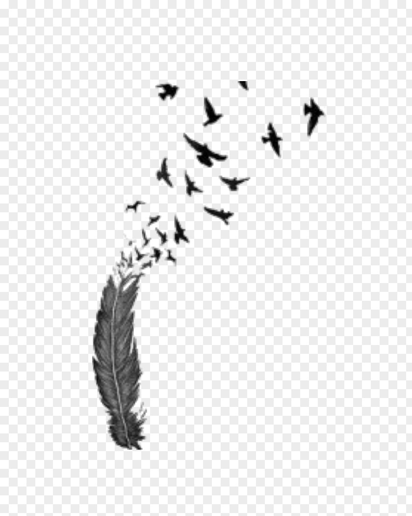 Bird Flight Feather Tattoo Image PNG