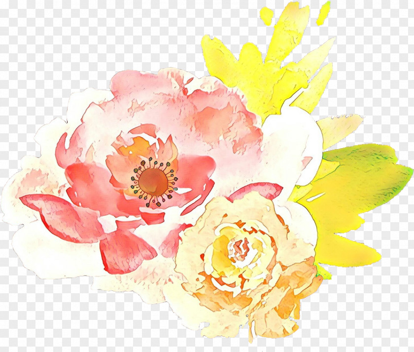 Chinese Peony Flowering Plant Flower Watercolor Paint Pink Petal PNG