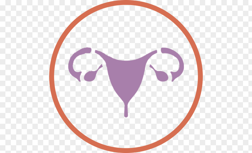 Gynecology Vector Gynaecology Hysterectomy Hospital Cancer Surgery PNG