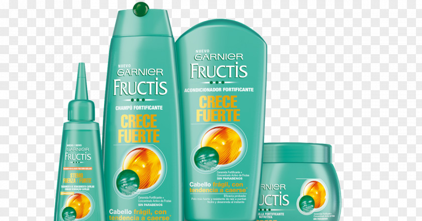 Hair Garnier Fructis Grow Strong Shampoo Loss PNG