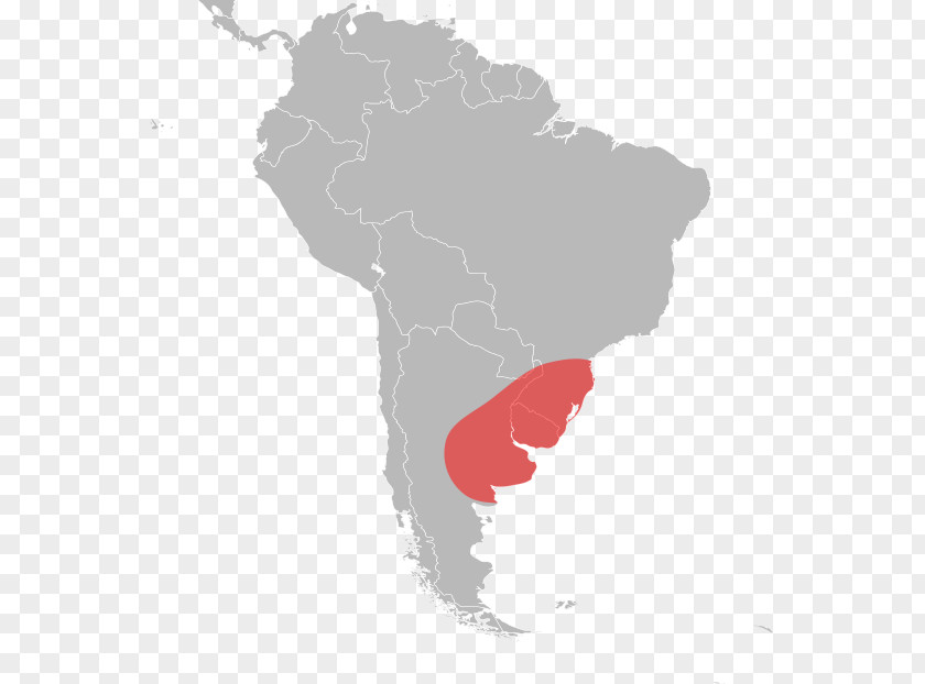 Map Latin America South World PNG