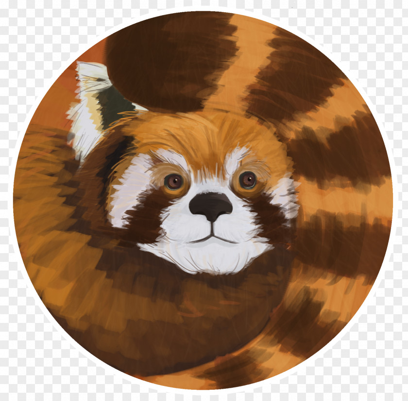 Red Panda Whiskers Giant Fur Snout PNG