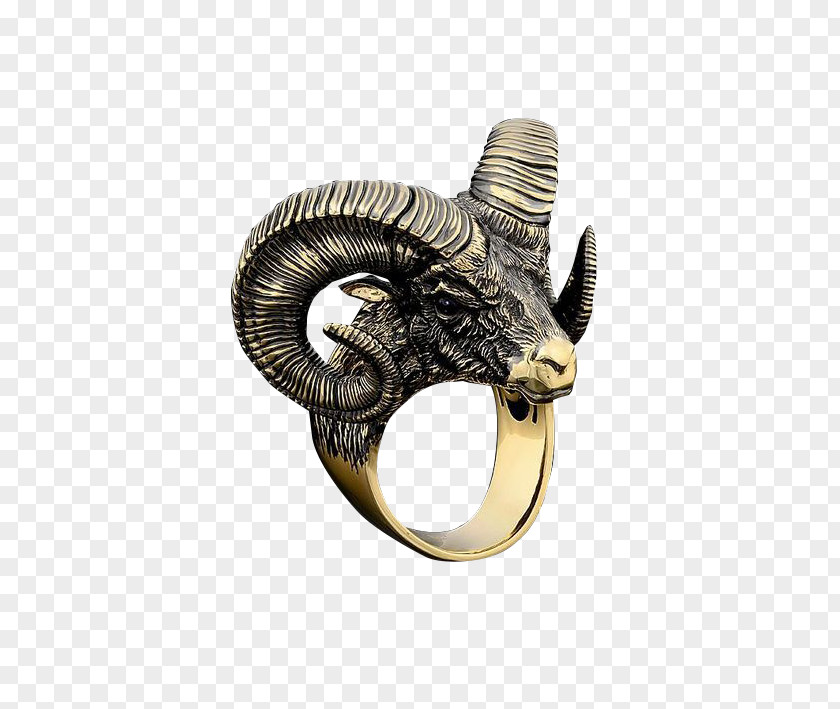 Stone Claw Sculpture Horn PNG