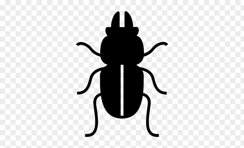 Bug Beetle Art Drawing PNG
