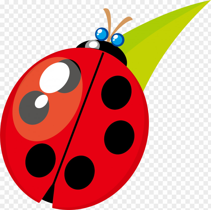 Ladybug Vector Material Beetle Ladybird Clip Art PNG