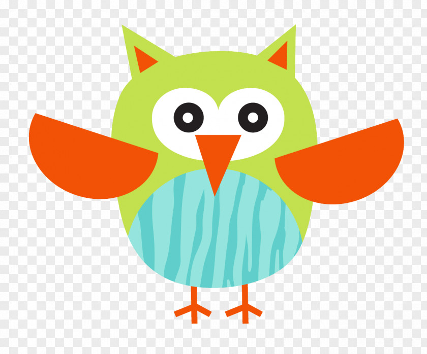 Owl Beak Bird Clip Art PNG