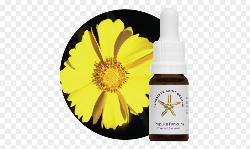 Populus Bach Flower Remedies Therapy Alternative Health Services Terapia Holística Emotional Freedom Techniques PNG