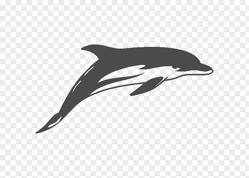 Dolphin Common Bottlenose Sticker Drawing Decal Tattoo PNG