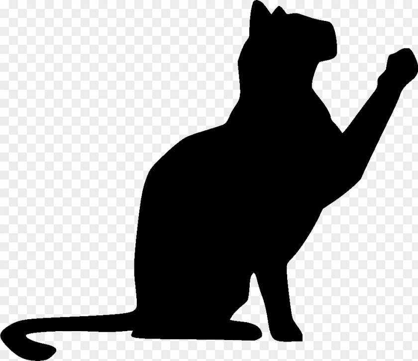M Whiskers Cat Dog Mammal Black & White PNG
