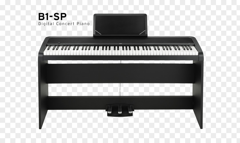 Piano Digital KORG B1SP PNG