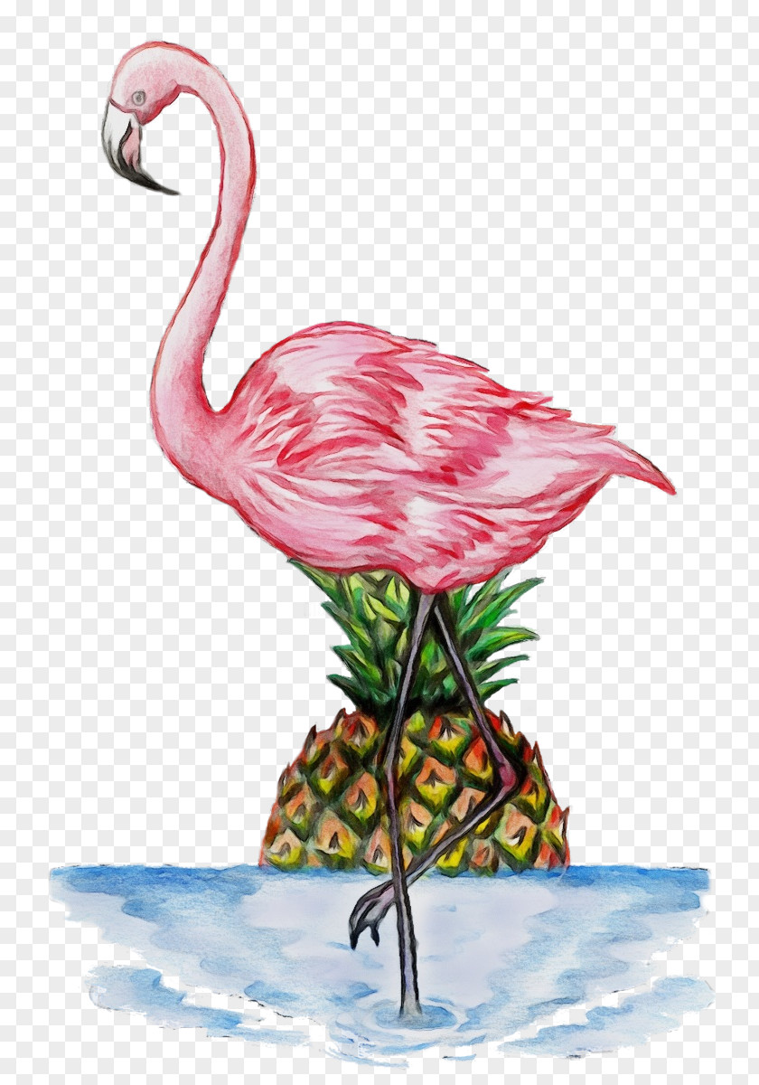 Stork Plant Flamingo Watercolor PNG