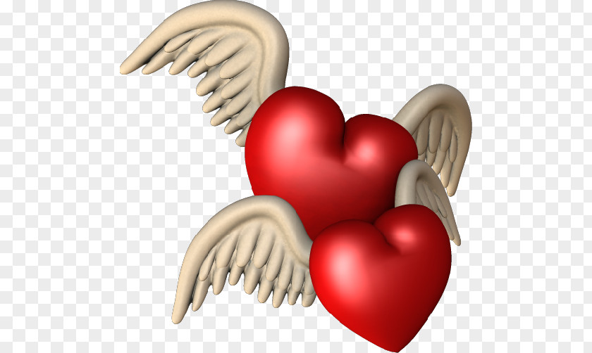 Amour Heart Animation Desktop Wallpaper Blog PNG