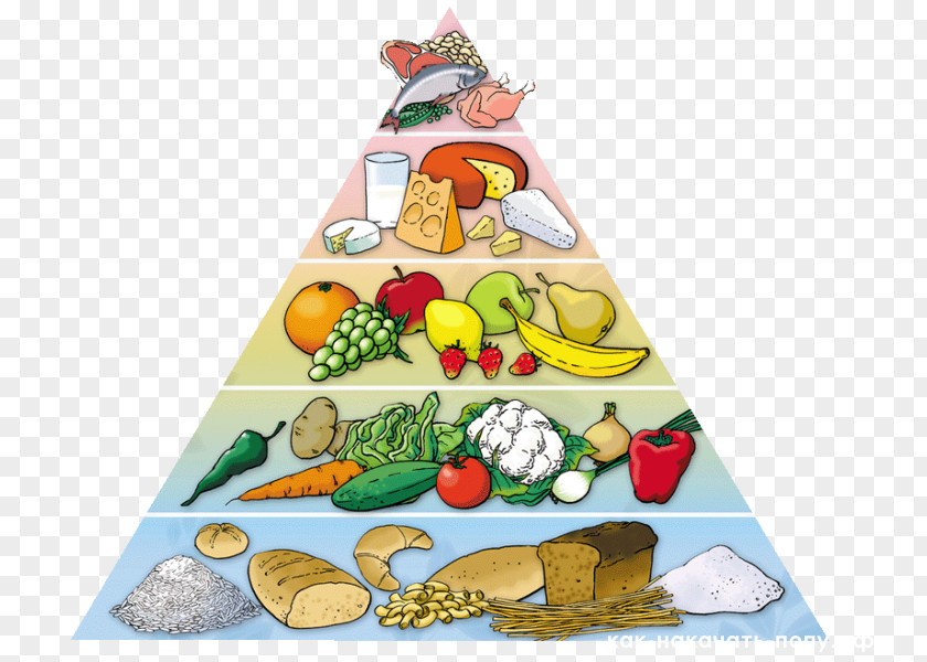 Health Food Pyramid Healthy Diet Eating Nutrition PNG