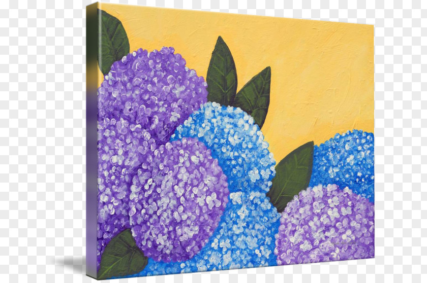 Hydrangea Flower Lavender Lilac Violet PNG