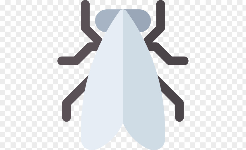 Insect PNG