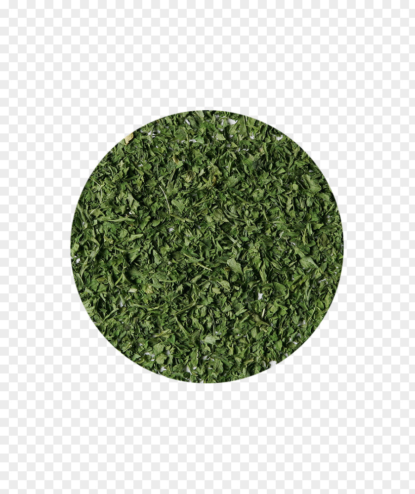 Parsley Organic Food Herb Certification Thyme PNG