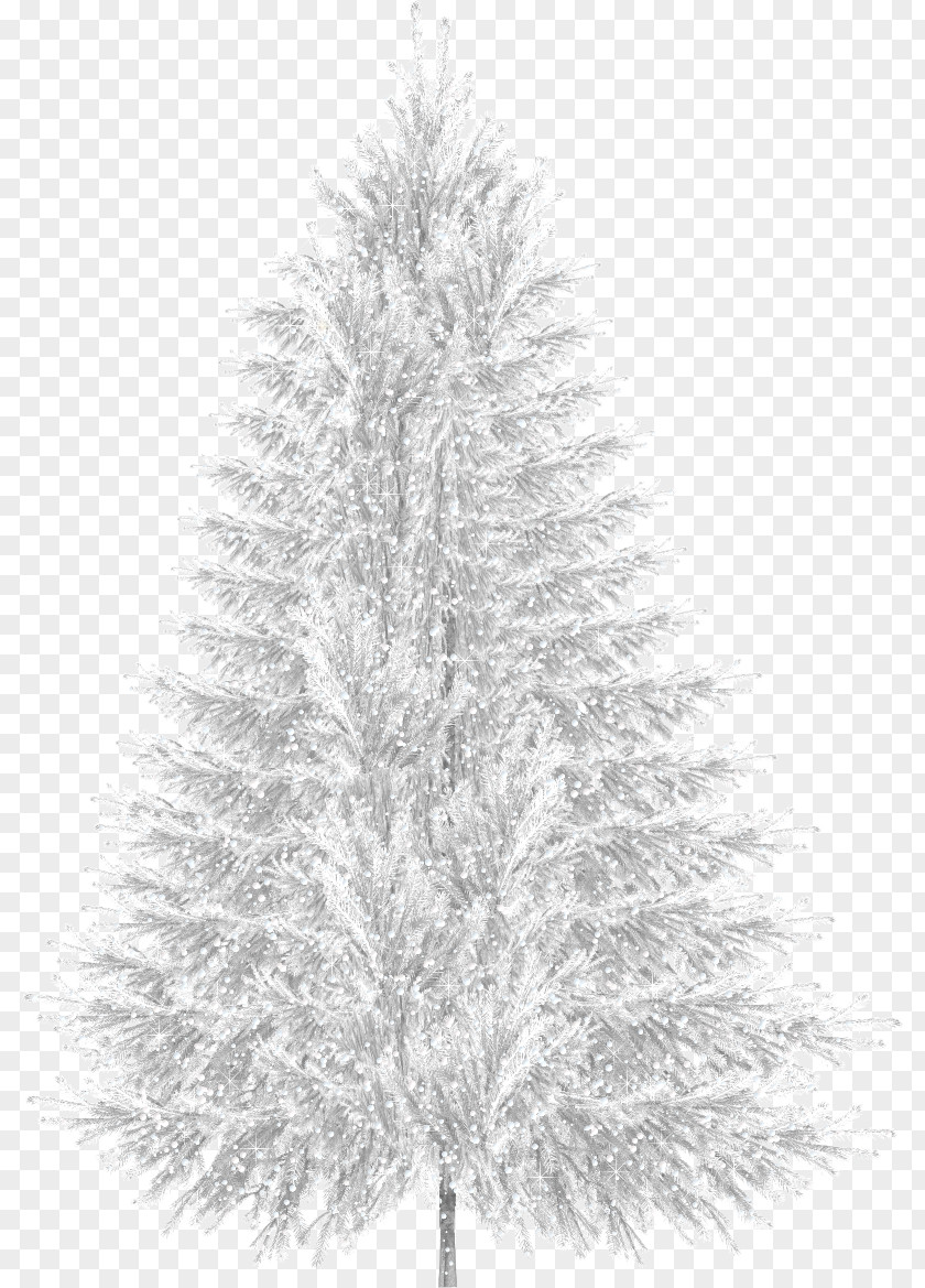 Winter Tree Clip Art PNG