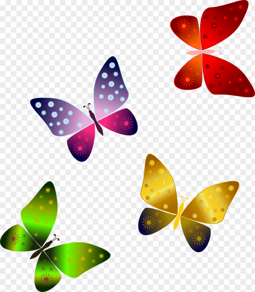 Butterfly T-shirt PNG