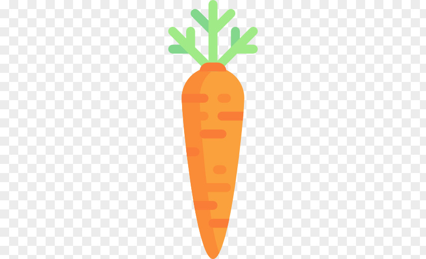 Carrot Cake Vegetable Radish PNG