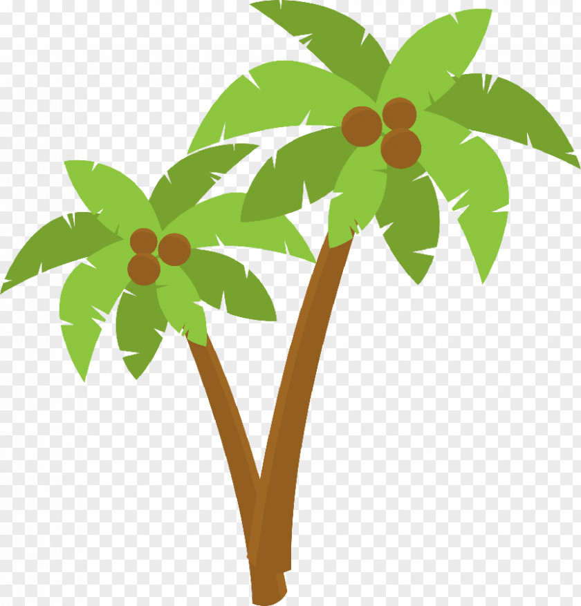 Coconut Arecaceae Clip Art PNG