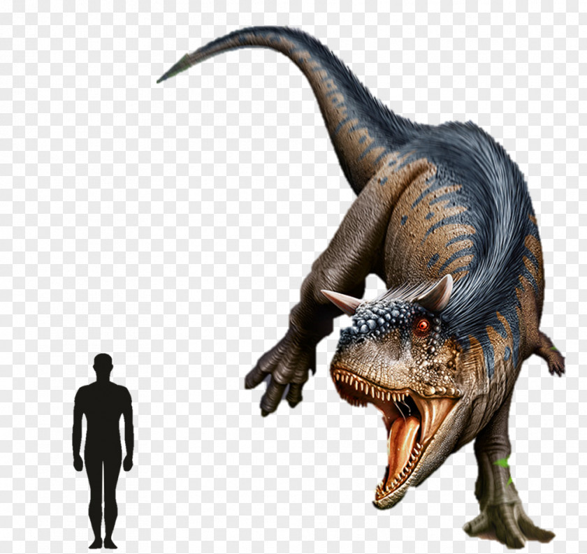 Dinosaurs Zoo Tycoon: Dinosaur Digs Carnotaurus Parasaurolophus Antarctopelta Spinosaurus PNG